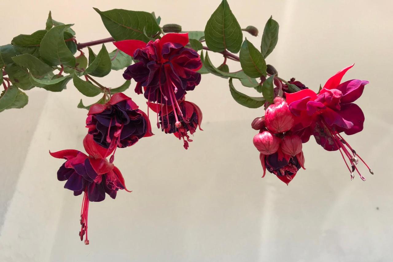 Ceu Sobre Montejunto Boutique B&B Cadaval ภายนอก รูปภาพ