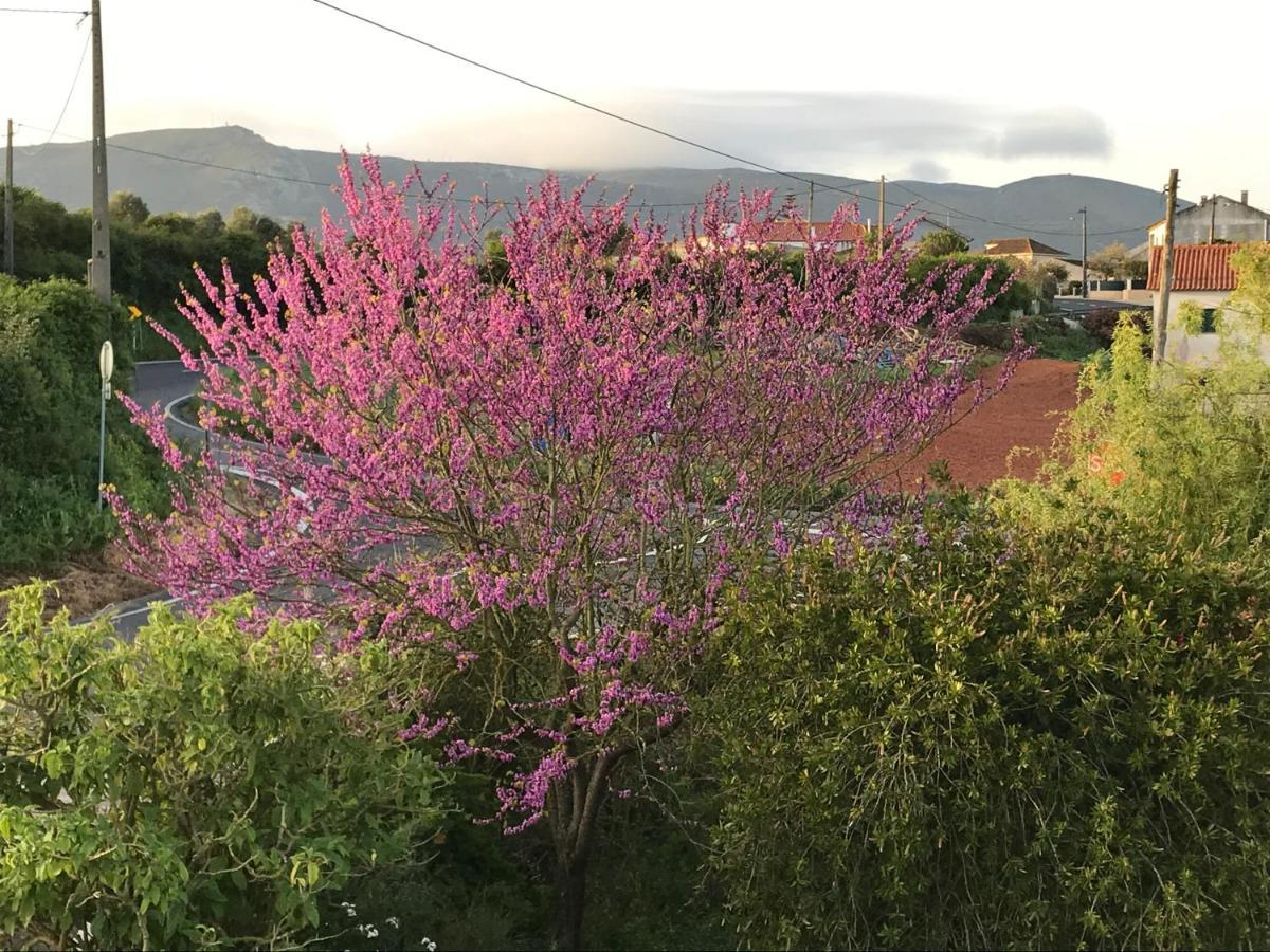 Ceu Sobre Montejunto Boutique B&B Cadaval ภายนอก รูปภาพ